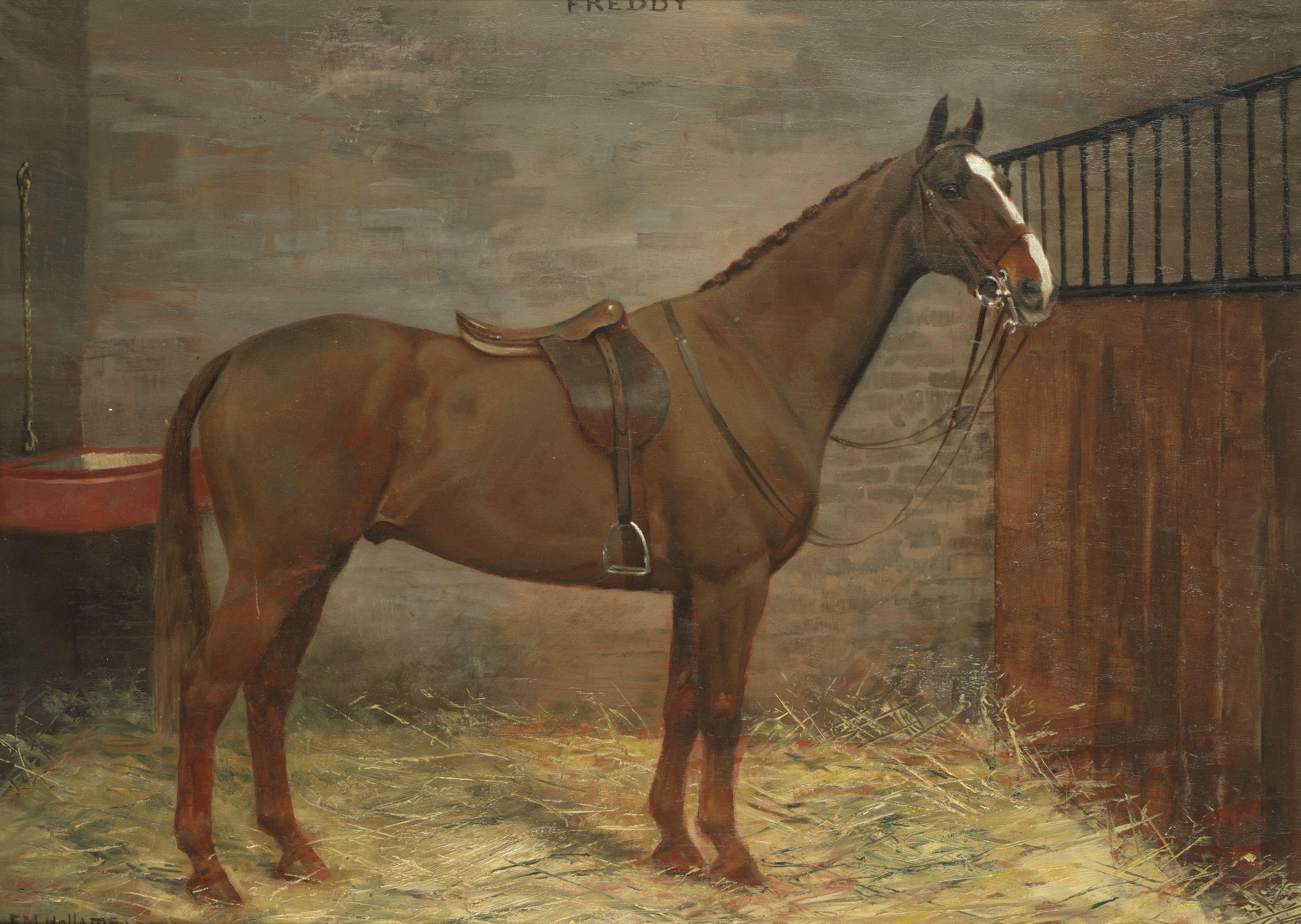 Frances Mabel Hollams - \'Freddy\'