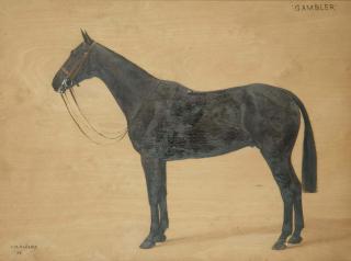 Frances Mabel Hollams - Gambler