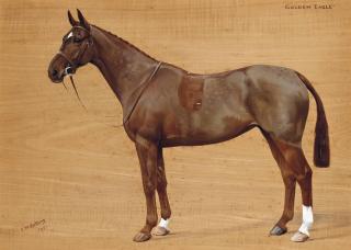 Frances Mabel Hollams - Golden Eagle