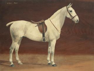 Frances Mabel Hollams - \'Grey Boy\'