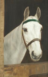 Frances Mabel Hollams - Head Of A Grey