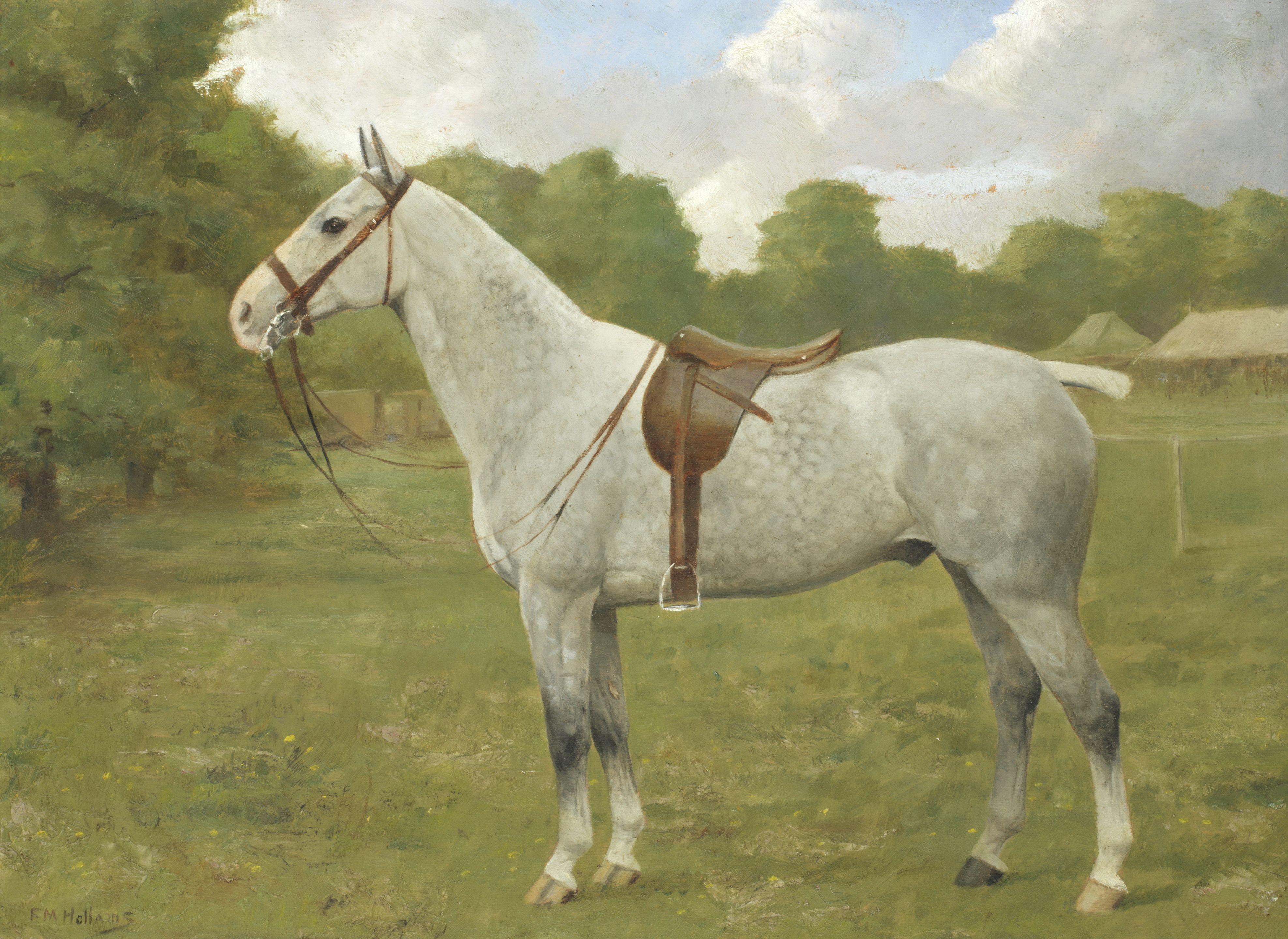 Frances Mabel Hollams - Jo, A Dapple Grey Horse