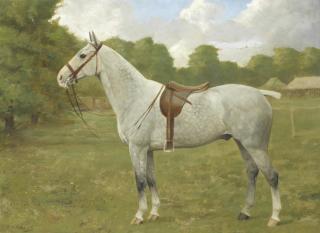 Frances Mabel Hollams - Jo, A Dapple Grey Horse