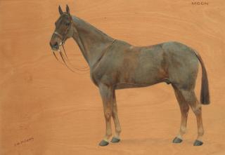 Frances Mabel Hollams - \'Moon\'