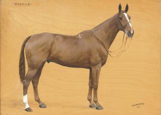 Frances Mabel Hollams - Patrick