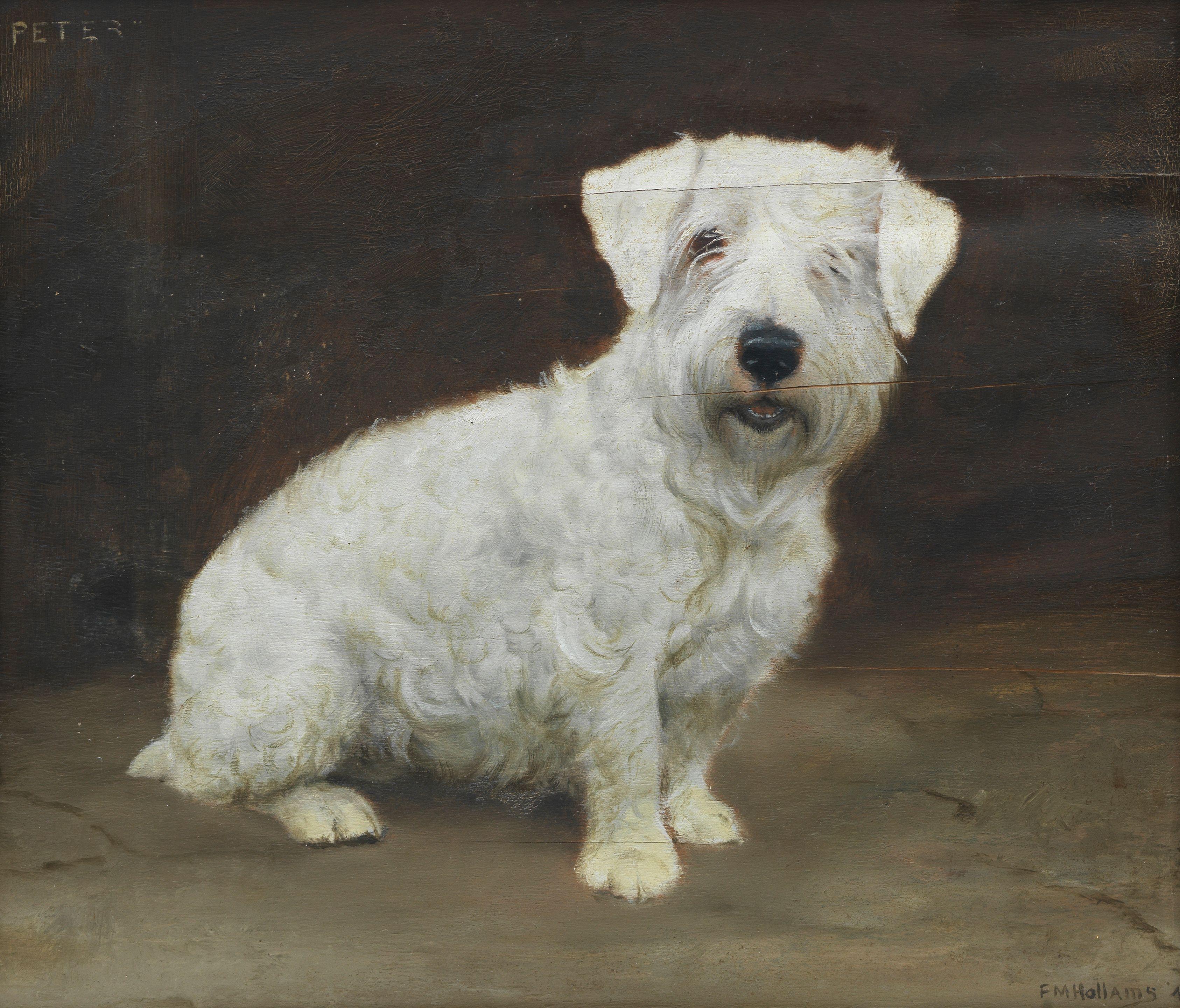 Frances Mabel Hollams - \'Peter\' - Sealyham Terrier