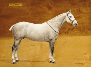 Frances Mabel Hollams - Poopstick, a dappled grey hunter