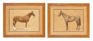 Frances Mabel Hollams - Punch; and Phyllis, two bridled hunters