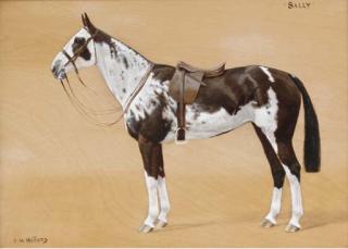 Frances Mabel Hollams - Sally, a saddled skewbald horse