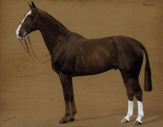 Frances Mabel Hollams - Simon