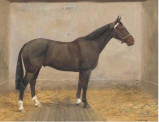 Frances Mabel Hollams - Socks, a bridled brown hunter in a stable