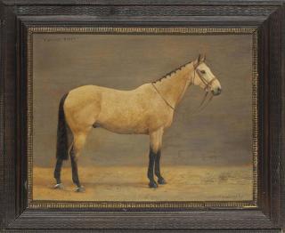 Frances Mabel Hollams - \'Tawny Pipit\'