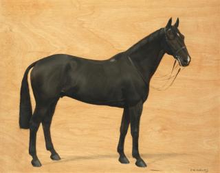 Frances Mabel Hollams - \'Uncle Remus\'