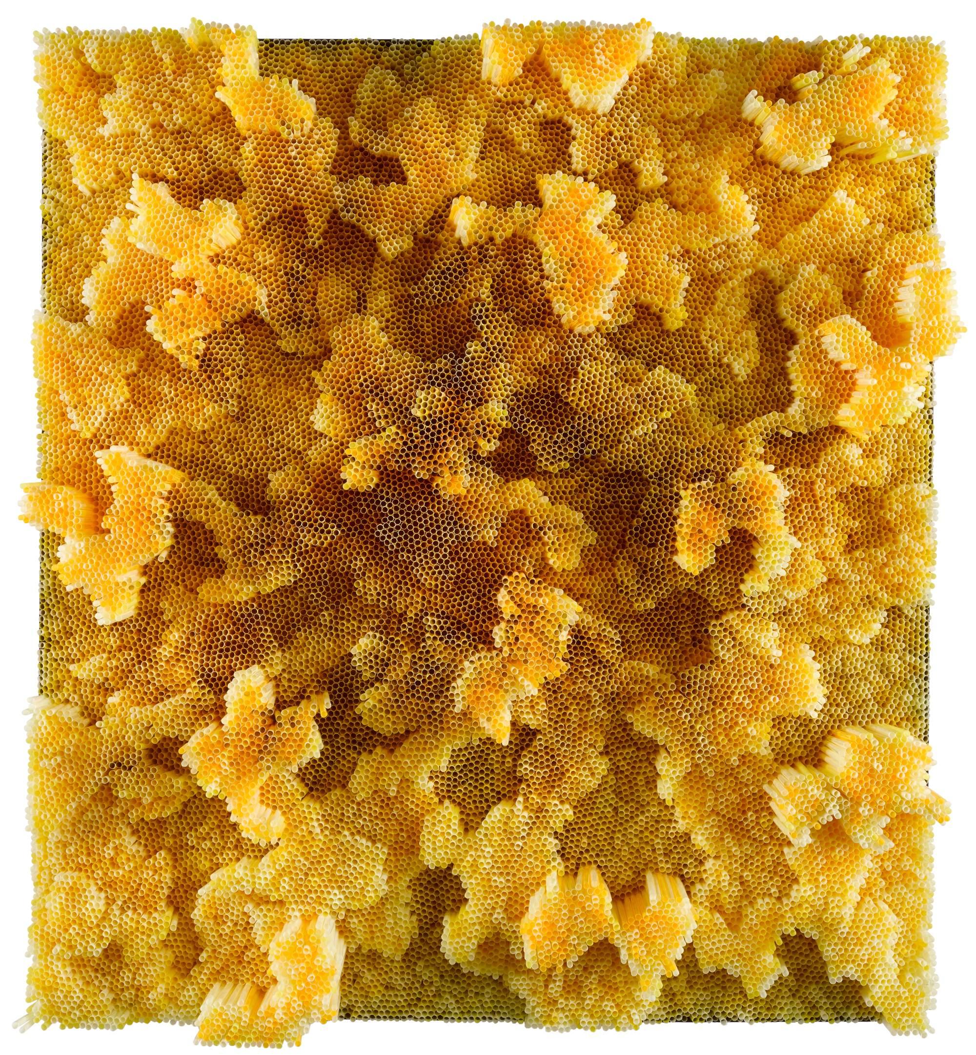 Francesca Pasquali - Yellow Straws