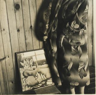 Francesca Woodman - \'Dale Chihuly Bathrobe\'