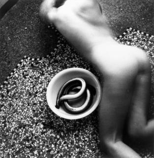 Francesca Woodman - Eel series, Roma
