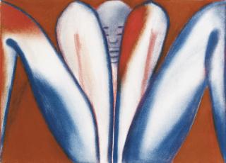 Francesco Clemente - Dalla Canossa Series: Feeling