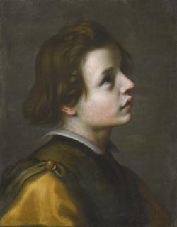 Francesco Curradi - Head Of A Youth