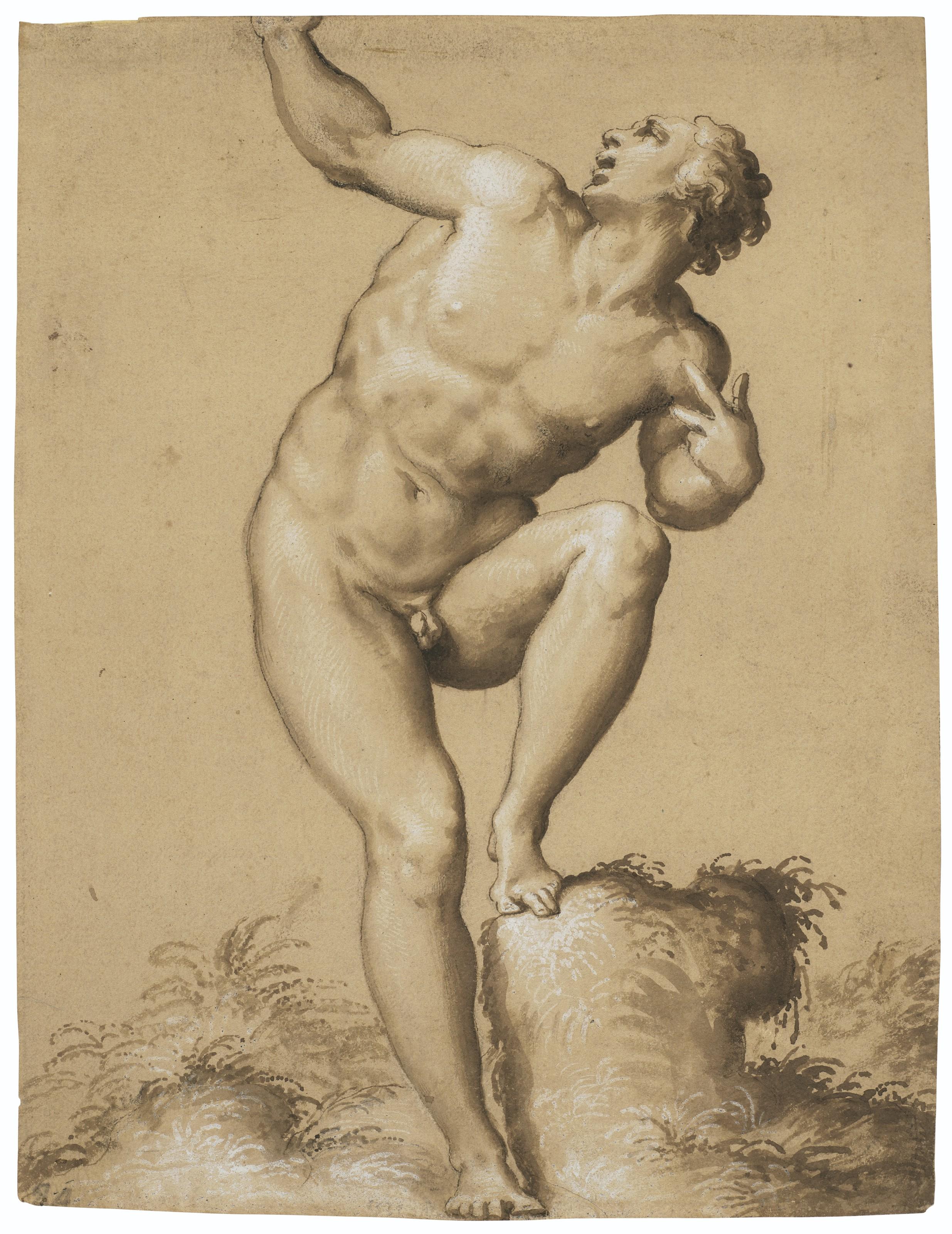 Francesco De\' Rossi - A male nude looking upward, his left foot on a stump