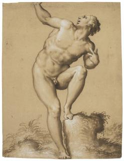 Francesco De\' Rossi - A male nude looking upward, his left foot on a stump