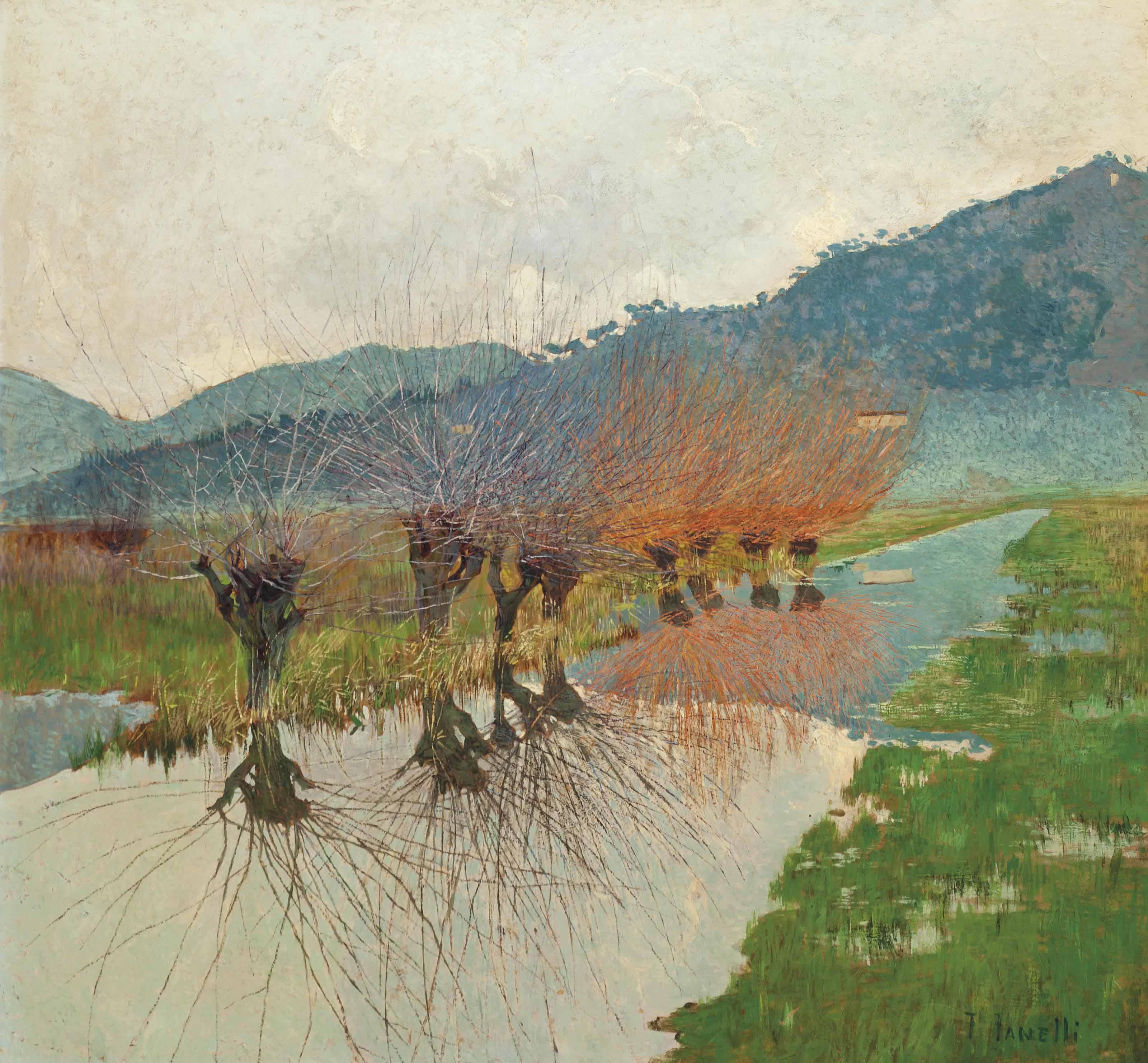 Francesco Fanelli - Salice sul canale