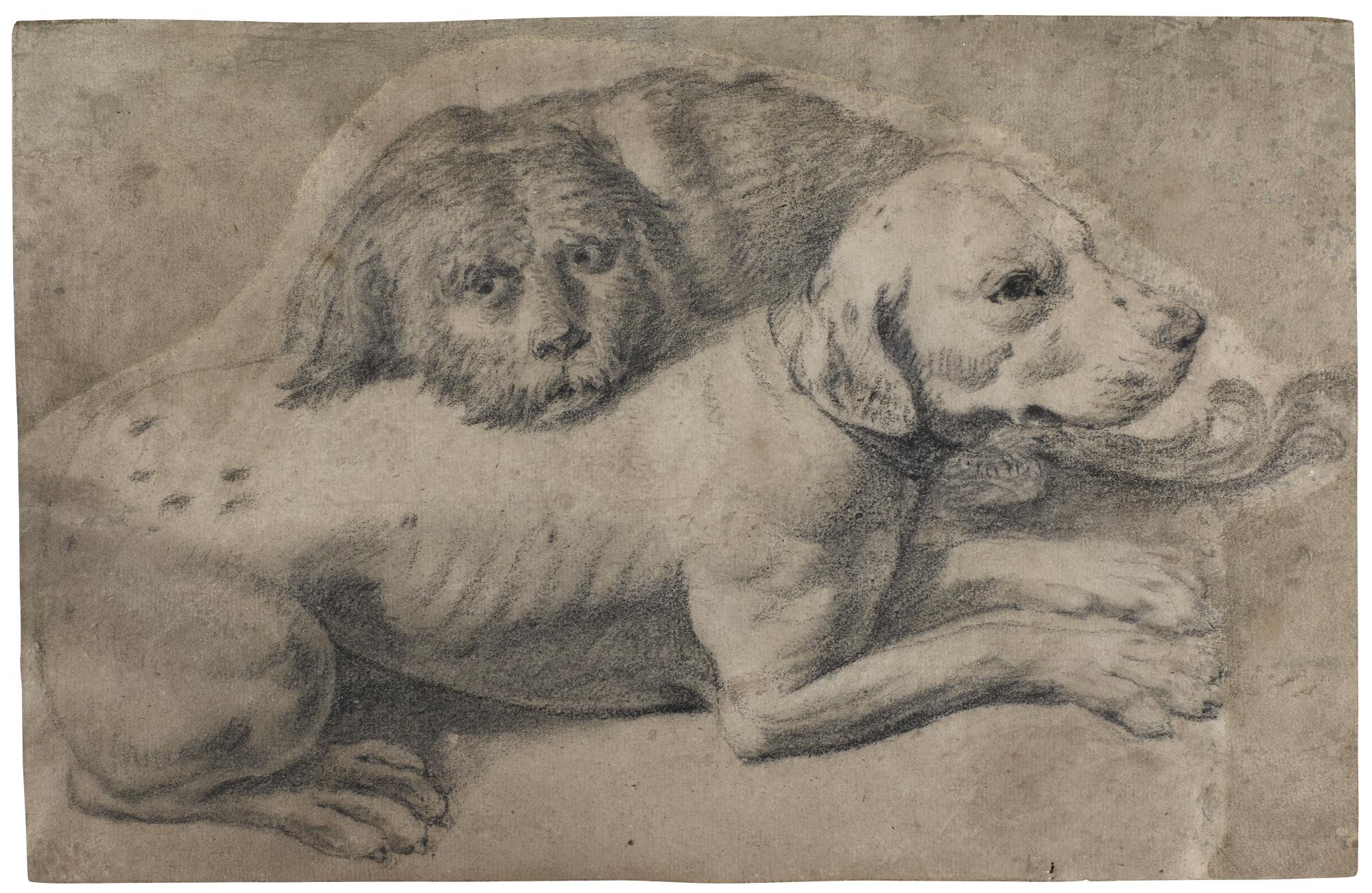 Francesco Fernandi - Study Of Two Dogs