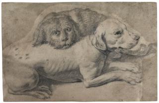Francesco Fernandi - Study Of Two Dogs