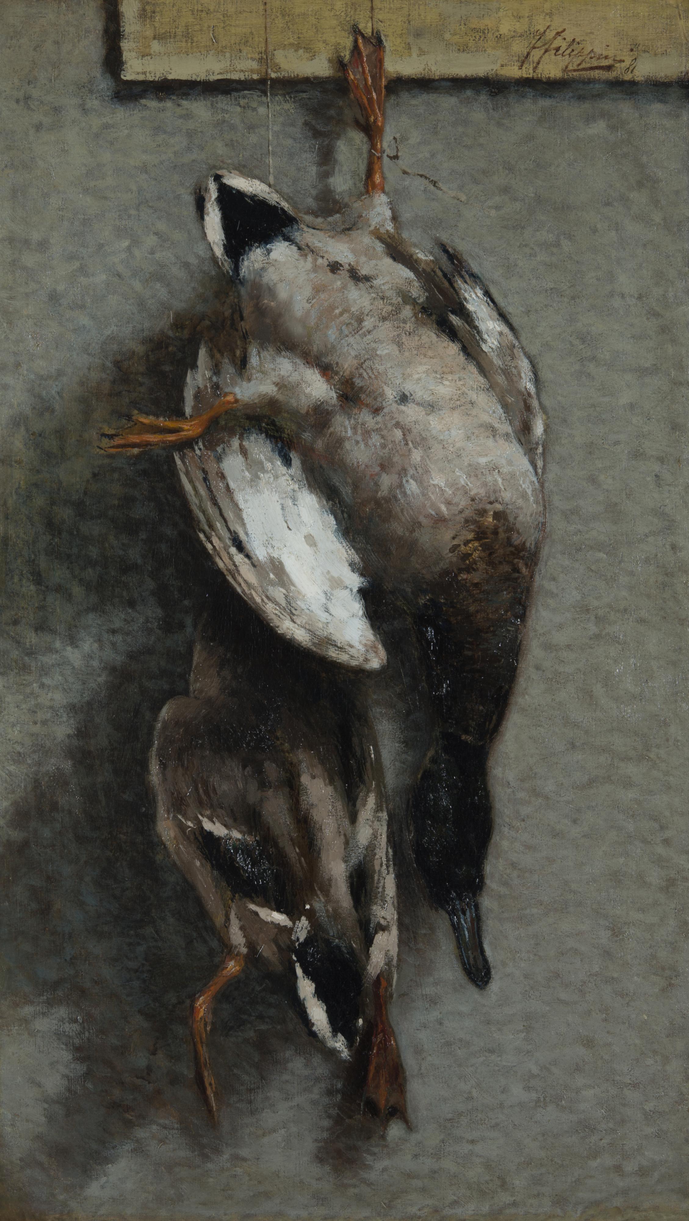 Francesco Filippini - Anatre selvatiche