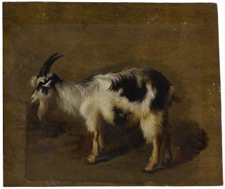 Francesco Londonio - Study Of A Goat