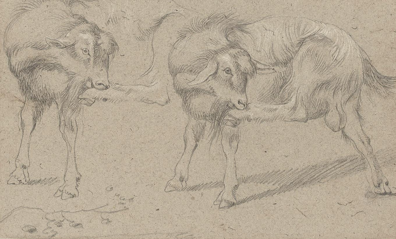 Francesco Londonio - Two studies of a goat grooming itself