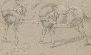 Francesco Londonio - Two studies of a goat grooming itself