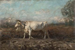 Francesco Paolo Michetti - Bovi bianchi