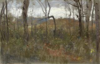 Francesco Paolo Michetti - Paesaggio