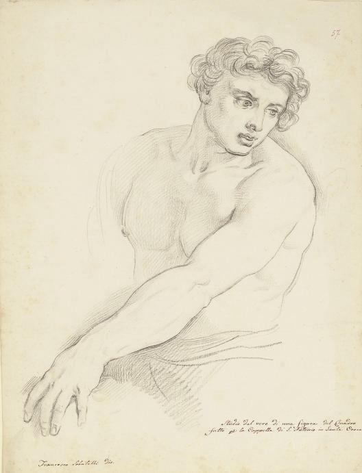 Francesco Sabatelli - A study of a man, half-length with his left arm outstretched