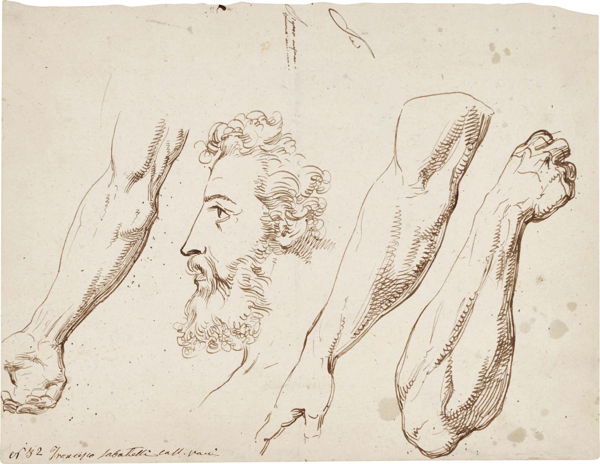Francesco Sabatelli - Studies Of Arms And A Study Of A Man\'S Head In Profile