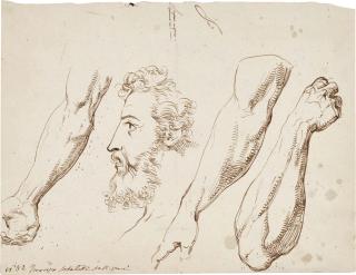 Francesco Sabatelli - Studies Of Arms And A Study Of A Man\'S Head In Profile
