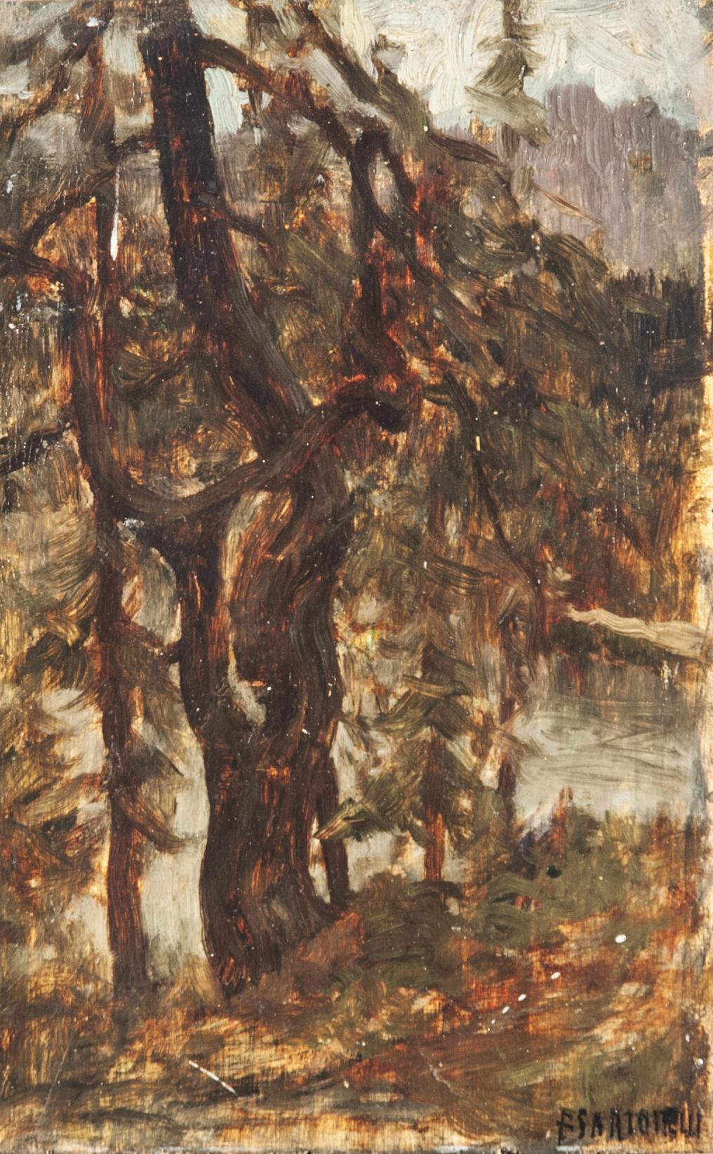 Francesco Sartorelli - Misurina