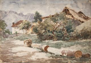 Francesco Sartorelli - Valzella d\'Alpago: Fallen Trunks