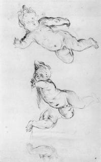 Francesco Solimena - Studio di putti e braccia