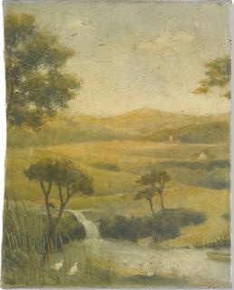 Francis Alÿs - Algo De Mi País