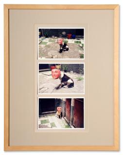 Francis Alÿs - Mexico D. F.