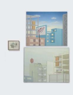 Francis Alÿs - Untitled (Installation Project)