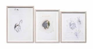 Francis Alys - Untitled