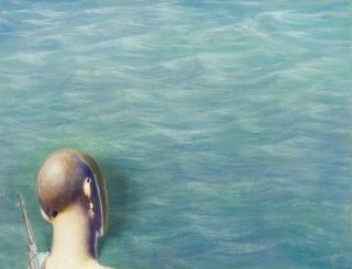 Francis Alÿs - Untitled