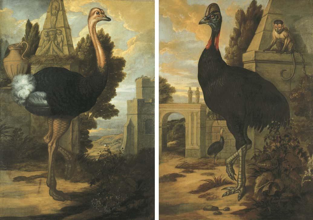 Francis Barlow - An ostrich; and A cassowary