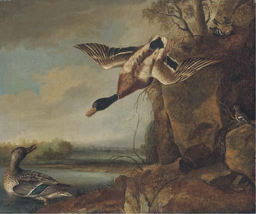 Francis Barlow - Mallard And Chaffinches In A River Landscape