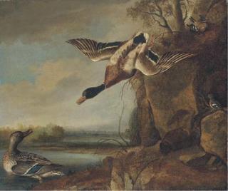 Francis Barlow - Mallard And Chaffinches In A River Landscape