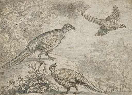 Francis Barlow - Pheasant in a wooded landscape, with deer beyond