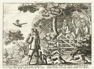 Francis Barlow - Unknown