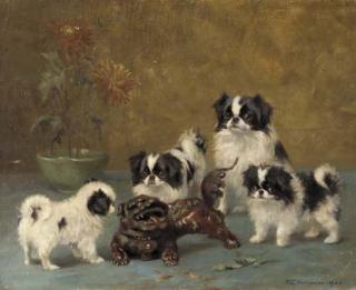 Francis C. Fairman - The odd one out